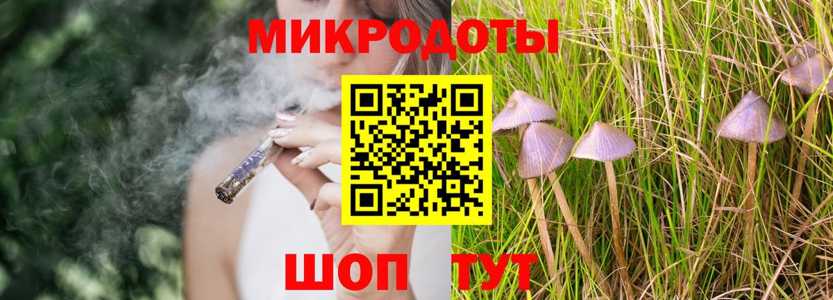 Псилоцибиновые грибы Psilocybe Приморско-Ахтарск