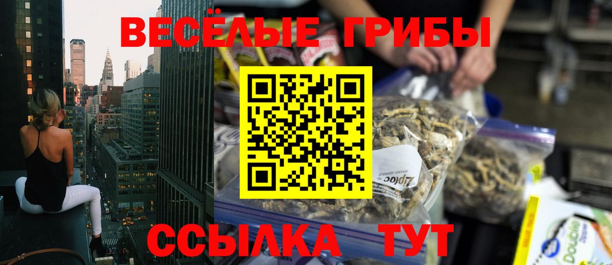 Приморско-Ахтарск  Псилоцибиновые грибы Psilocybe  Вход с VPN 